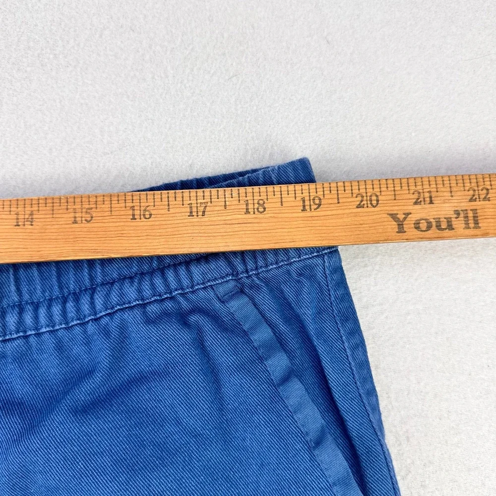 The North Face Motion Cargo Pants‎ Mens XL Blue Comfort Stretch Performance Tech